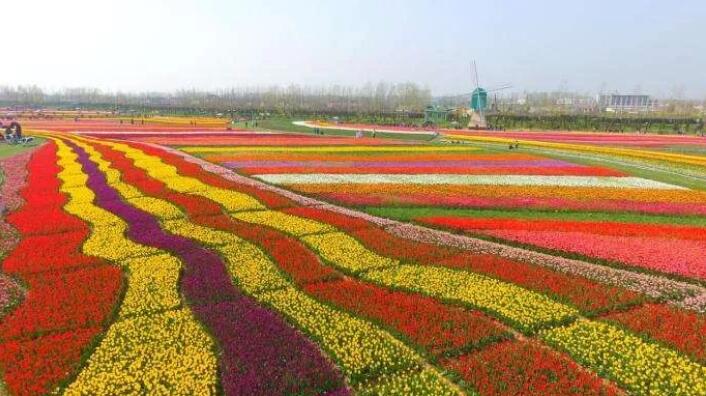 FilT5f2dUQew0YEkyDXh0Yucd5tI FilT5f2dUQew0YEkyDXh0Yucd5tI