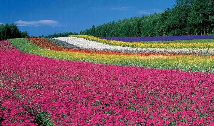 Fi_cZRKZfNweAhB66-7qUKdeGGuh Fi_cZRKZfNweAhB66-7qUKdeGGuh